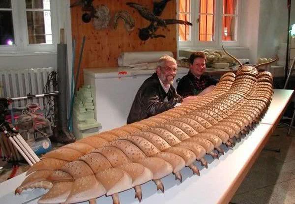 对于巨型海蝎子是如何长得这么大的,古生物学家们意见不一.