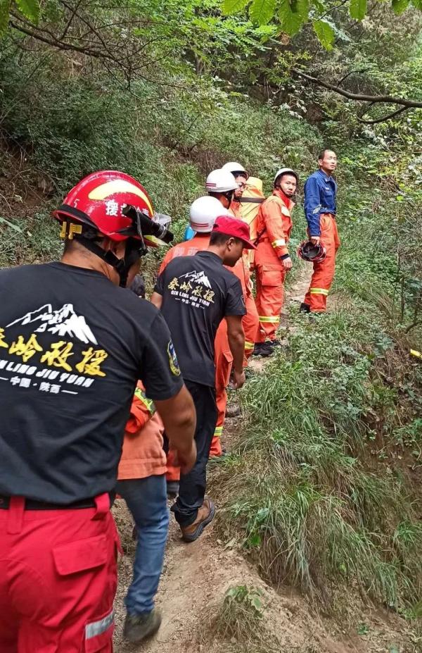 西安一男子在野生动物园后山遭野蜂袭击