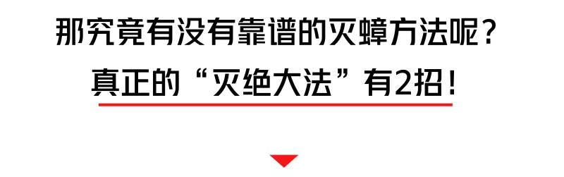 蟑螂有N种死法，真正靠谱的是这2种