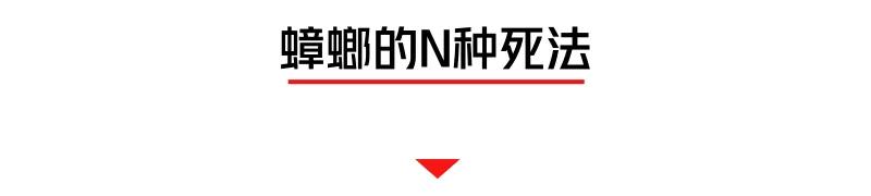 蟑螂有N种死法，真正靠谱的是这2种