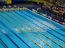上海世界游泳锦标赛保障团队