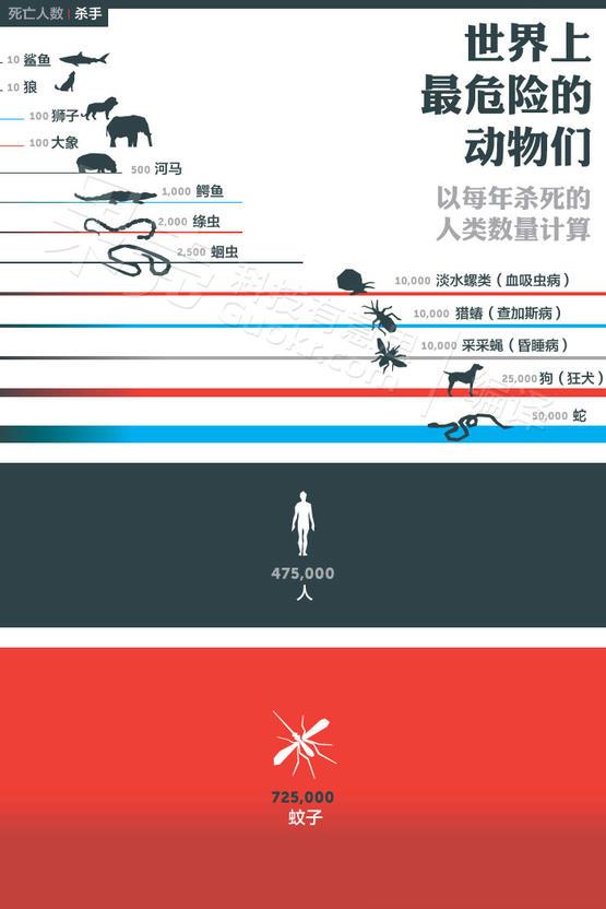 关于四害之一的蚊子，你们了解多少