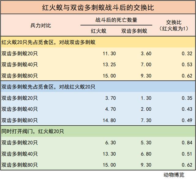 无敌的红火蚁谁能阻挡？这种黑蚂蚁或有希望