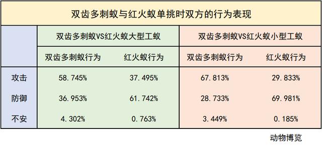 无敌的红火蚁谁能阻挡？这种黑蚂蚁或有希望