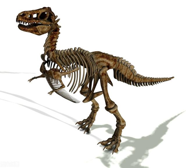 恐龙智力之谜，体型越大的动物越聪明吗？