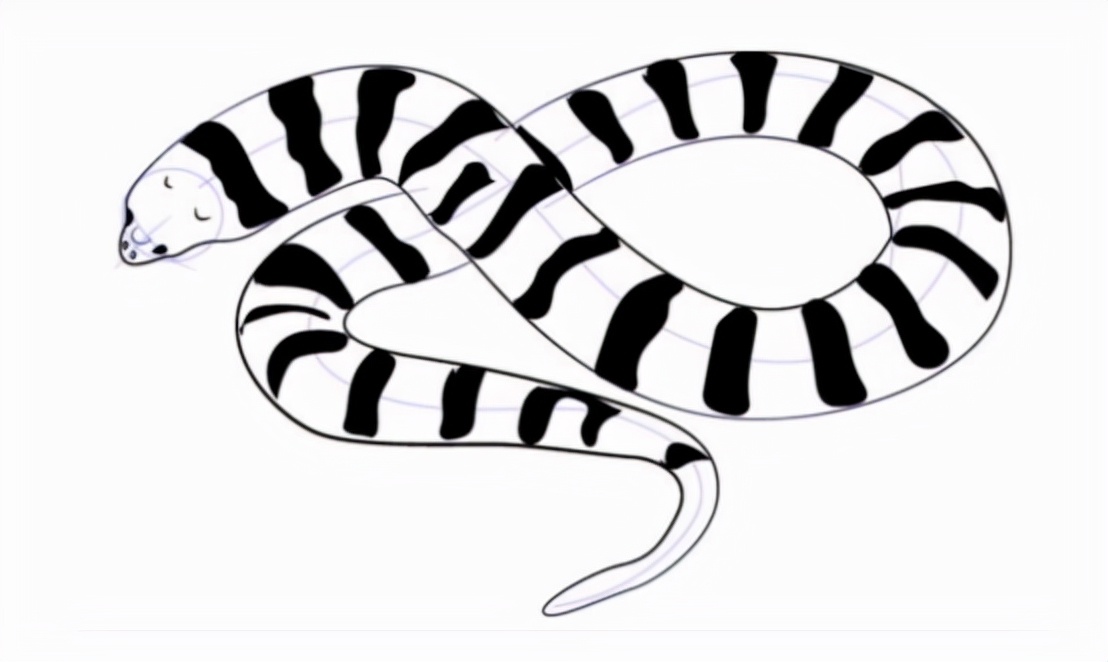 中国最毒的蛇，它在农村很常见，银环蛇究竟有多毒？